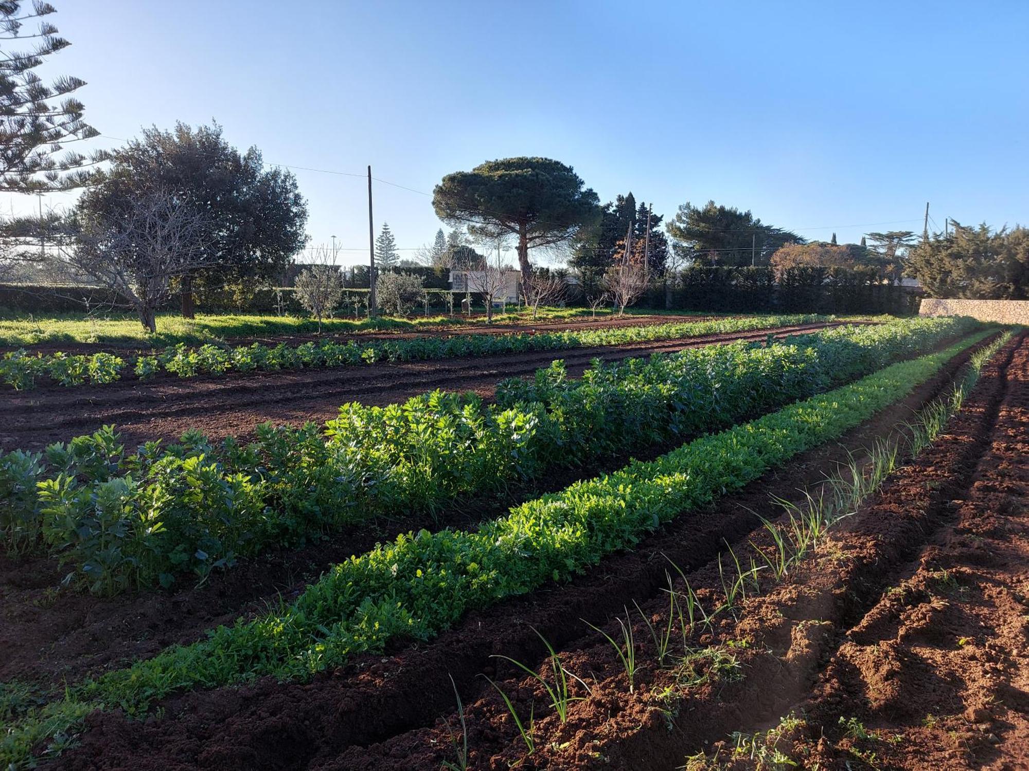 Vila L'Aira Ecchia - Ospitalita Rurale Lecce Exteriér fotografie